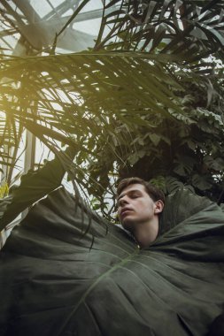 Genç bir adam çalıların üzerinde yatıyor, doğayla bütünlük kavramı, doğayı önemsiyor, bahar geldi..