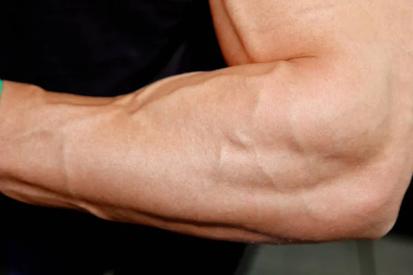 Mężczyzna Potężny Biceps Zbliżenie Siłownia Budowniczy Ciała Piękne Spuchnięte Męskie — Zdjęcie stockowe
