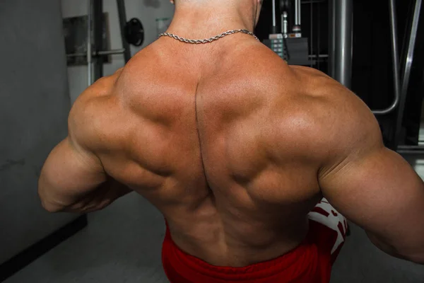 Men Inflated Back Closeup Gym Body Builder Beautiful Swollen Male — Stock Photo, Image