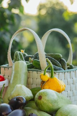 Bahçedeki masada duran sepetteki taze organik sebzeler ve meyveler. Sağlıklı beslenen patlıcan, kabak, salatalık, domates, kabak. Sebzeler salatada.