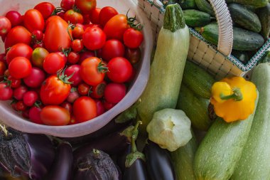 Bahçedeki masada duran sepetteki taze organik sebzeler ve meyveler. Sağlıklı beslenen patlıcan, kabak, salatalık, domates, kabak. Sebzeler salatada.