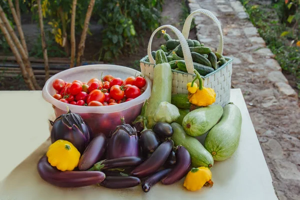 Fresh organic vegetables and fruits in a basket on a table in the garden. Healthy eating Eggplant, squash, cucumbers, tomatoes, zucchini. Vegetables on the salad