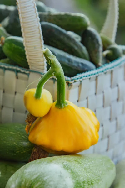 Fresh organic vegetables and fruits in a basket on a table in the garden. Healthy eating Eggplant, squash, cucumbers, tomatoes, zucchini. Vegetables on the salad