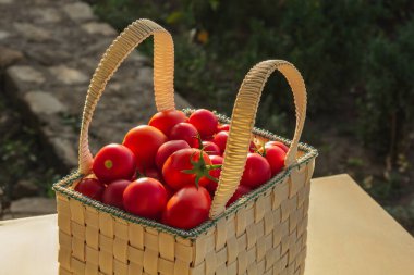 Salatada sebze yemek sağlıklı. İyi hasat. Yakın plan. Bahçedeki ahşap bir masada sepetteki taze organik domatesler.