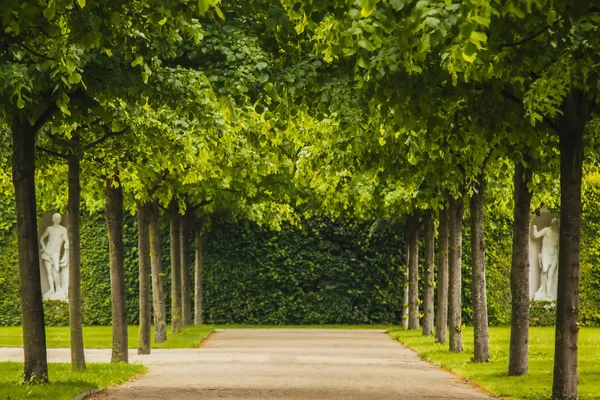 Mooi Panorama Landschap Met Zon Bos Weide Bij Zonsopgang Zonnestralen — Stockfoto