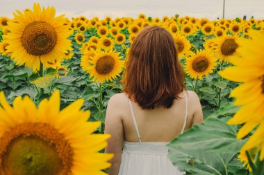 Beyaz elbiseli, ayçiçeği çiçekli, güzel, seksi, kızıl saçlı bir kızın portresi. Zevk duygusu, özgürlük konsepti, yaşam tarzı. Duvarın yanında duruyor.