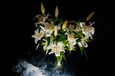 Lily siyah arkaplandaki ışık ışınlarını dallandırıyor. narin, beyaz çiçek. Atmosferik karanlık fotoğrafçılıktaki bir çiçeğin hatları. Tatil için çiçekler, reklam, hediye.