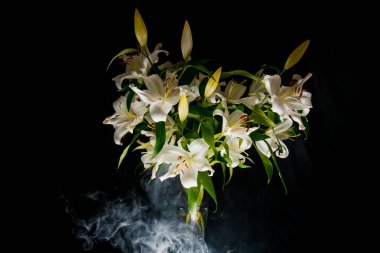 Lily siyah arkaplandaki ışık ışınlarını dallandırıyor. narin, beyaz çiçek. Atmosferik karanlık fotoğrafçılıktaki bir çiçeğin hatları. Tatil için çiçekler, reklam, hediye.