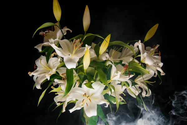 Ramo Lírio Nos Raios Luz Sobre Fundo Preto Delicada Flor — Fotografia de Stock