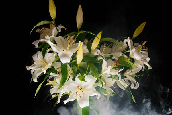 Ramo Lírio Nos Raios Luz Sobre Fundo Preto Delicada Flor — Fotografia de Stock