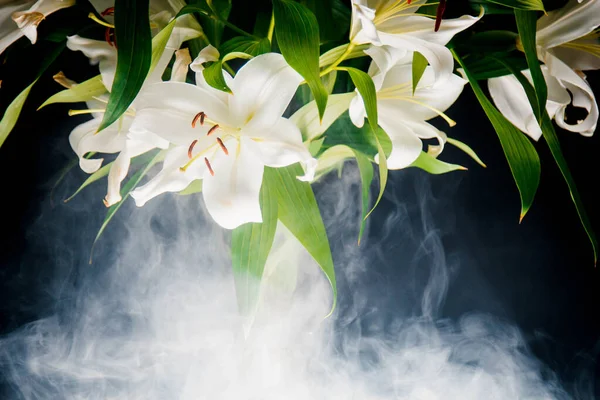 Ramo Lírio Nos Raios Luz Sobre Fundo Preto Delicada Flor — Fotografia de Stock