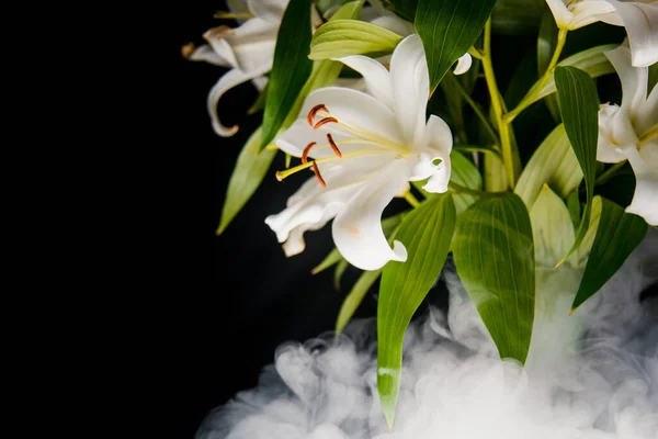 Ramo Lírio Nos Raios Luz Sobre Fundo Preto Delicada Flor — Fotografia de Stock