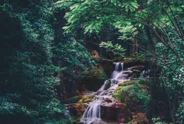 Doğal parktaki derenin yumuşak suyu, yağmur ormanlarındaki güzel şelale.