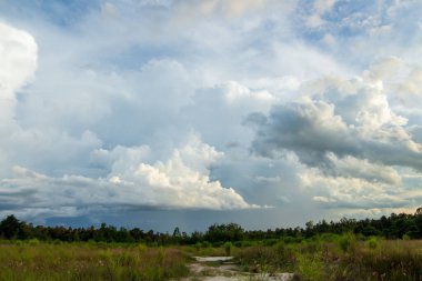 Gün batımında bulutlu renkli dramatik gökyüzü