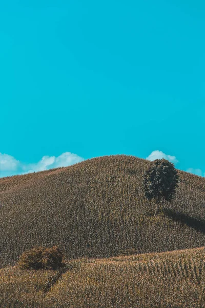 Prachtig Zomers Landschap Bergen Met Zonsondergang — Stockfoto