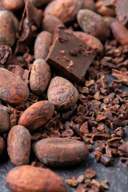 Koyu çikolata parçaları ve kakao çekirdekleri.