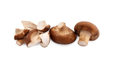 shiitake mantar beyaz zemin üzerine