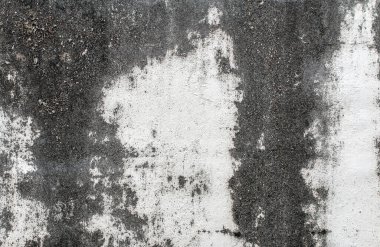 beyaz beton eski duvar dokusu
