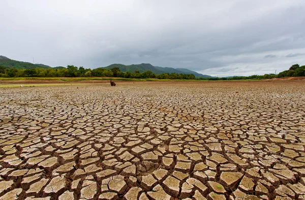 Rissiges Trockenes Land Ohne Wasser — Stockfoto