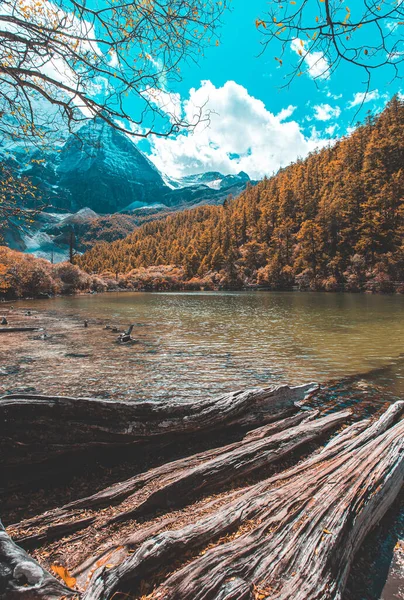 Sonbahar ormanlarında renkli ve Yading Doğa Koruma Alanında kar dağı