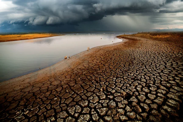 Trueno Tormenta Cielo Nubes Lluvia —  Fotos de Stock