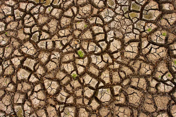 水のない乾燥した土地を割った — ストック写真