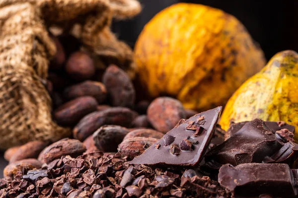 Donkere Chocolade Stukjes Geplet Cacaobonen Bovenaanzicht — Stockfoto
