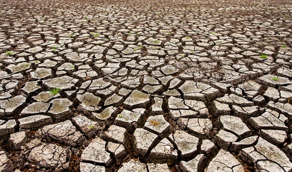 Rissiges Trockenes Land Ohne Wasser — Stockfoto