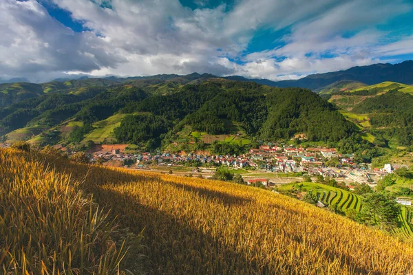 Zelená Rýžová Pole Terasách Muchangchai Vietnam Rýžová Pole Připravují Sklizeň — Stock fotografie