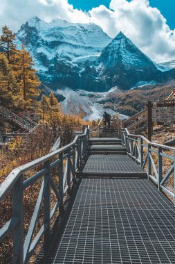 Sonbahar ormanlarında ve Yading doğa koruma alanındaki kar dağlarında renkli son Shangri la