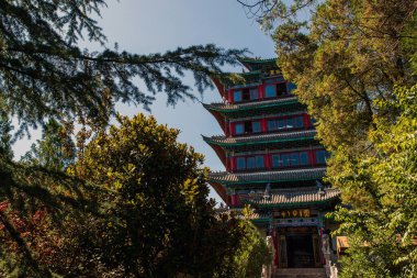 Lion Hill 'deki Pagoda (Wangu Kulesi) manzarası. Lijiang 'ın Eski Kasabası' nda,