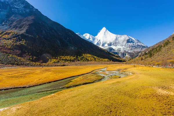 Sonbahar ormanlarında ve Yading doğa koruma alanındaki kar dağlarında renkli son Shangri la