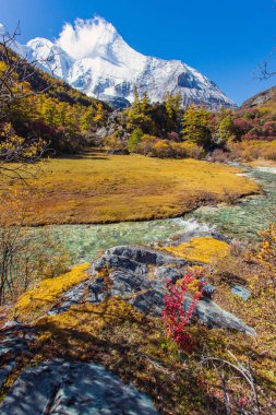 Sonbahar ormanlarında ve Yading doğa koruma alanındaki kar dağlarında renkli son Shangri la