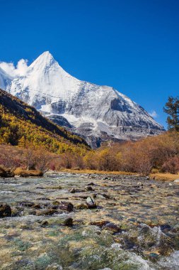 Sonbahar ormanlarında ve Yading doğa koruma alanındaki kar dağlarında renkli son Shangri la