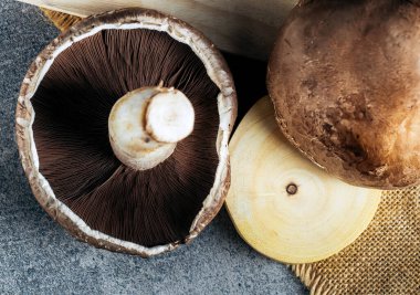 Tahta üzerinde taze Portobello Mantarı