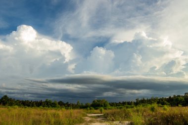Gök gürültülü fırtına. Yağmur bulutları.