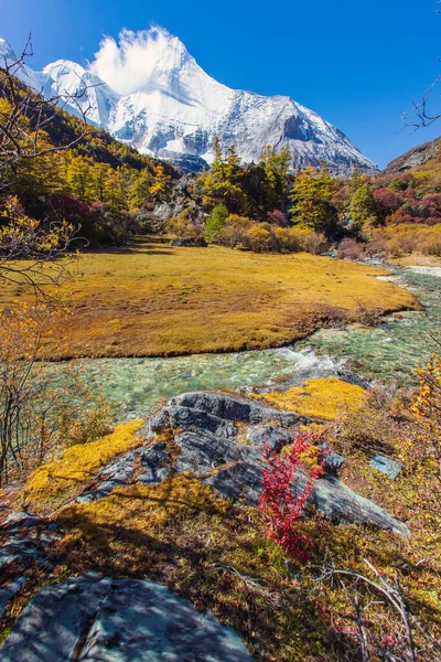 Sonbahar ormanlarında ve Yading doğa koruma alanındaki kar dağlarında renkli son Shangri la