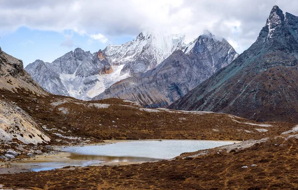 Kleurrijk Herfst Bos Sneeuw Berg Yading Natuurreservaat Laatste Shangri — Stockfoto