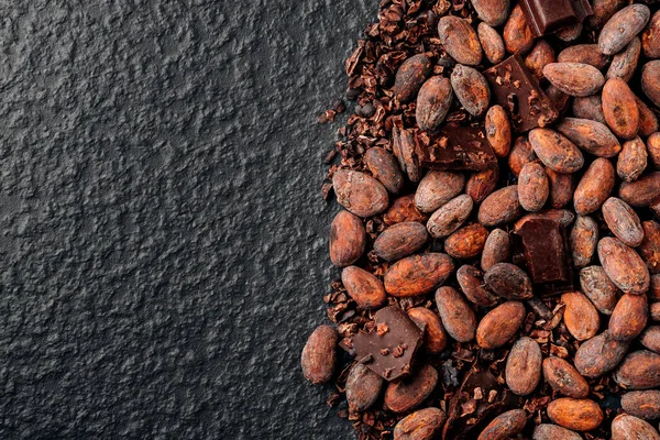 stock image Dark chocolate pieces crushed and cocoa beans, top view