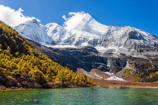 Kleurrijk Herfst Bos Sneeuw Berg Yading Natuurreservaat Laatste Shangri — Stockfoto