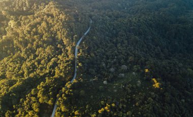 Yeşil ormandan ve dağdan geçen kırsal yolun üst görüntüsü.