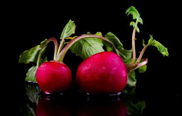 Red fresh radish on black blackground