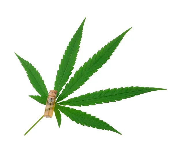 Cannabis Extrakt Cannabisolja Burkar — Stockfoto