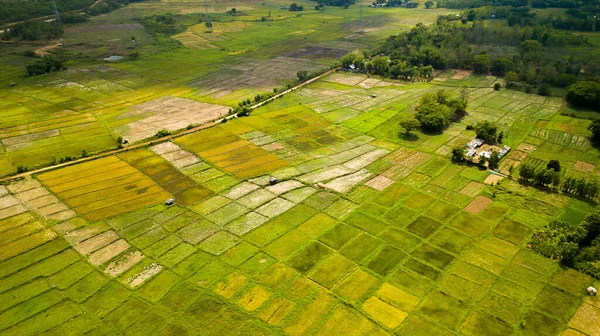 Lanzamiento Aéreo Rice Terrace Imagen Hermosa Terraza Campo Arroz — Foto de Stock