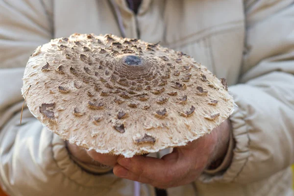 mantar davul sopa elinde