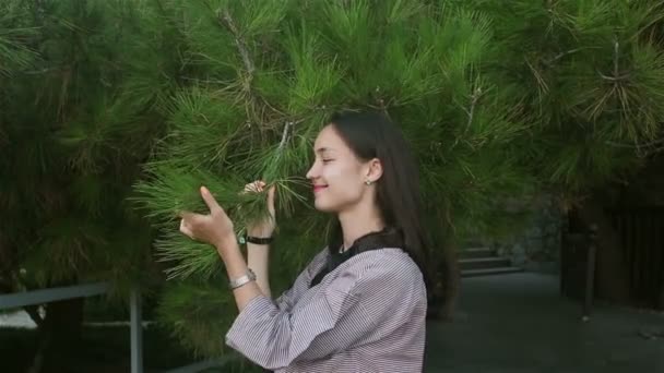 그녀는 나무의 아름다움을 즐기고 침엽수 나뭇가지를 가꾸고 있습니다 아름다운 소녀는 — 비디오