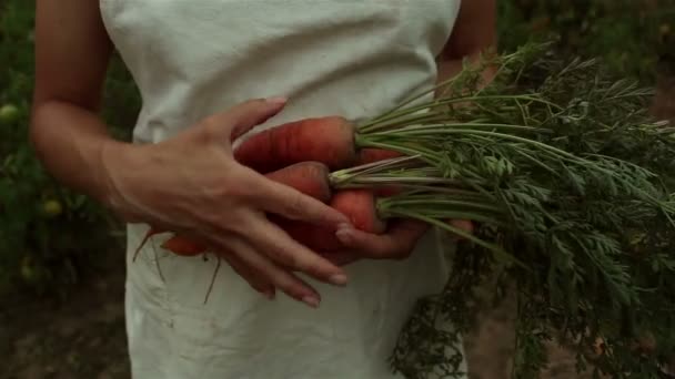 Uma Jovem Agricultora Tem Uma Colheita Cenoura Nas Mãos Uma — Vídeo de Stock