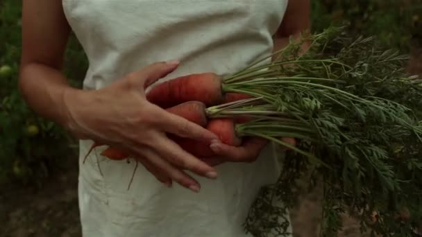 Una Joven Campesina Tiene Una Cosecha Zanahoria Sus Manos Una — Vídeo de stock