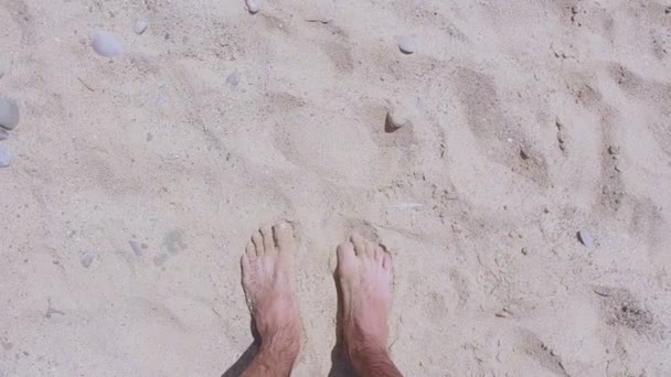 Piedi maschili camminano lungo la spiaggia sabbiosa. Un uomo gode di relax sulla spiaggia di sabbia. Un uomo cammina sulla sabbia vicino al mare . — Video Stock