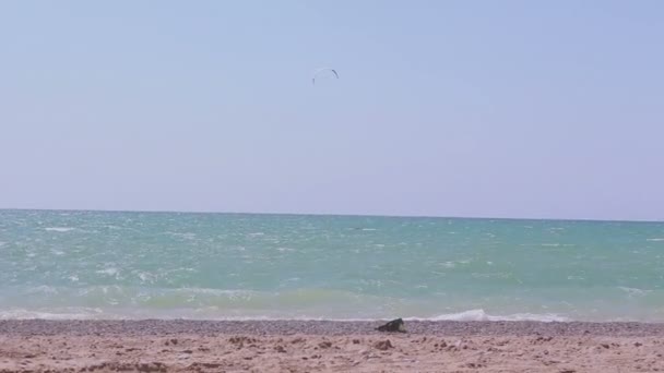 Drak surfař jezdí na vlnách v modrém moři. Pohled na moře a muže zapojeného do kitesurfingu. — Stock video